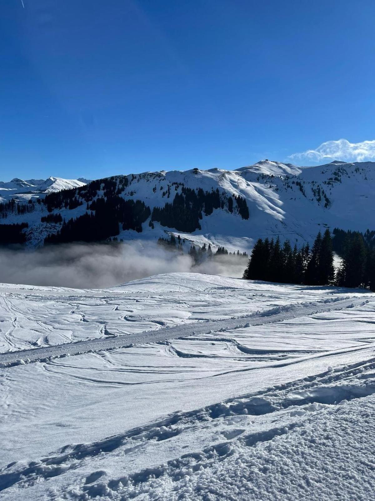 Chalet Geniessen Sie Bergblick & Sauna Im Modernen Going am Wilden Kaiser